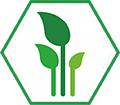 year 2010 icon