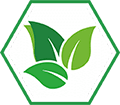 year 2015 icon