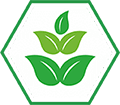 year 2016 icon