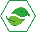 year 2017 icon