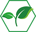 year 2020 icon