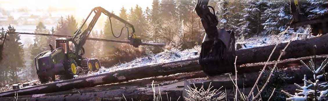 forest harvesting