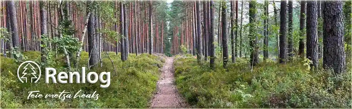 kinnistute ost koos kasvava metsa ja maaga