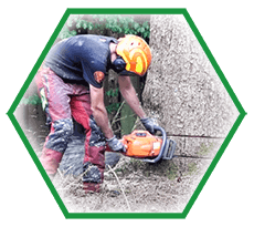 logging services