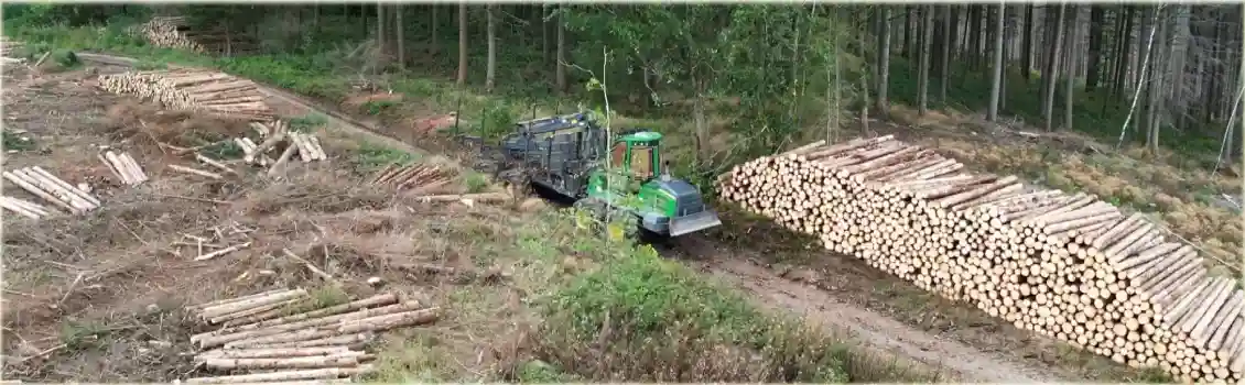 metsa m&uuml;&uuml;k metsamajandamiskavas n&auml;idatud metsa tagavara alusel