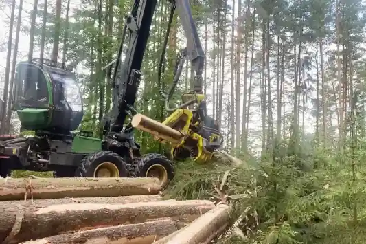 metsa m&uuml;&uuml;mine otse metsafirmale