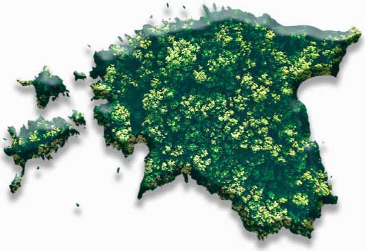 metsa ost kõikjal eestis
