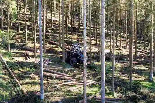 metsamaa ostmine ja &uuml;lest&ouml;&ouml;tamine