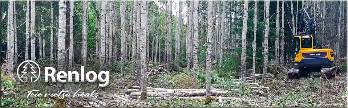 Kasvava v&otilde;sa l&otilde;ikus ekskavaatoriga.