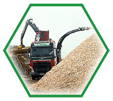 wood chip production